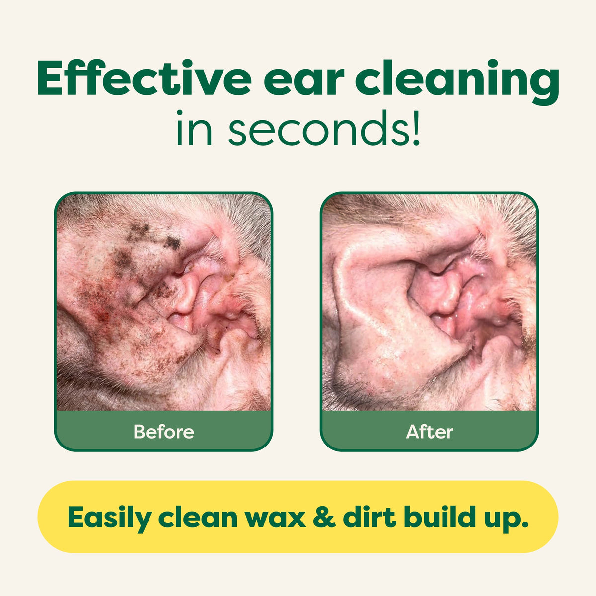 Everyday Home Hypoallergenic Dog Ear Cleansing Wipes for daily home and personal routines with cleaning laundry and paper products