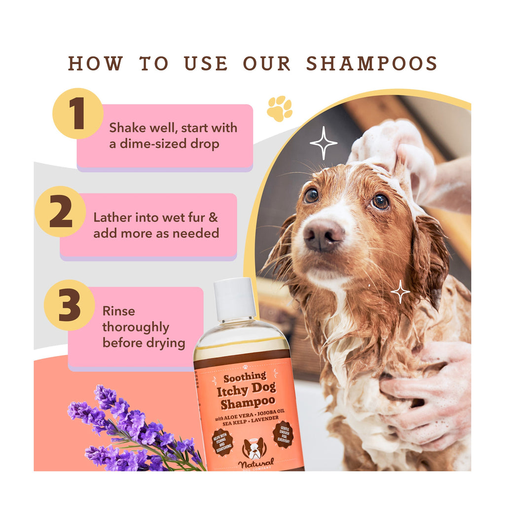Daily Care Itchy Dog Shampoo for daily home and personal routines with hair care