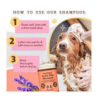 Daily Care Itchy Dog Shampoo for daily home and personal routines with hair care