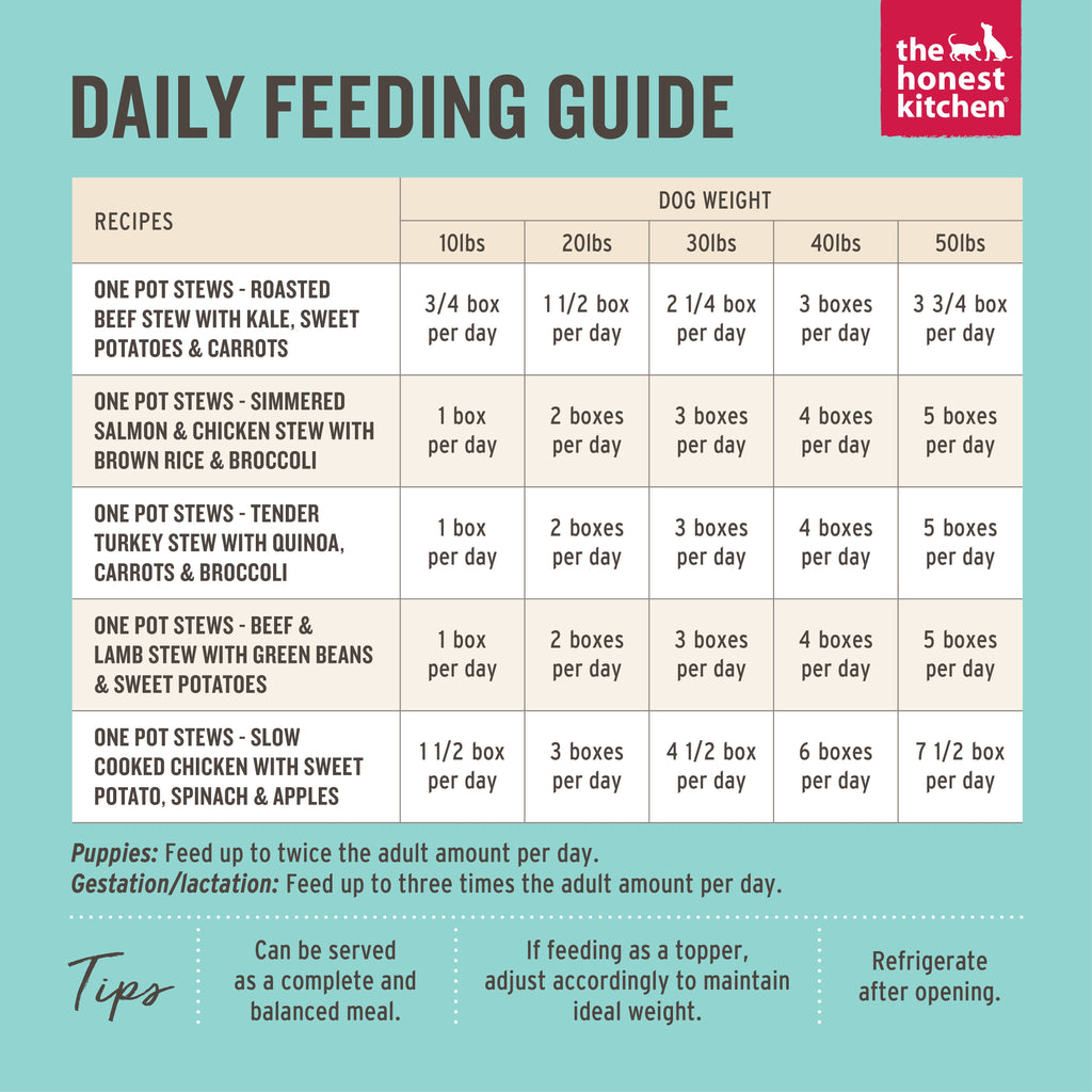 Practical Living Human-Grade Wet Dog Food, One Pot Slow Cooked Chicken Stew with Sweet Potato, Spinach and Apples, Pack of 6 for daily home and personal routines with pet care treats and accessories