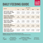 Practical Living Human-Grade Wet Dog Food, One Pot Slow Cooked Chicken Stew with Sweet Potato, Spinach and Apples, Pack of 6 for daily home and personal routines with pet care treats and accessories