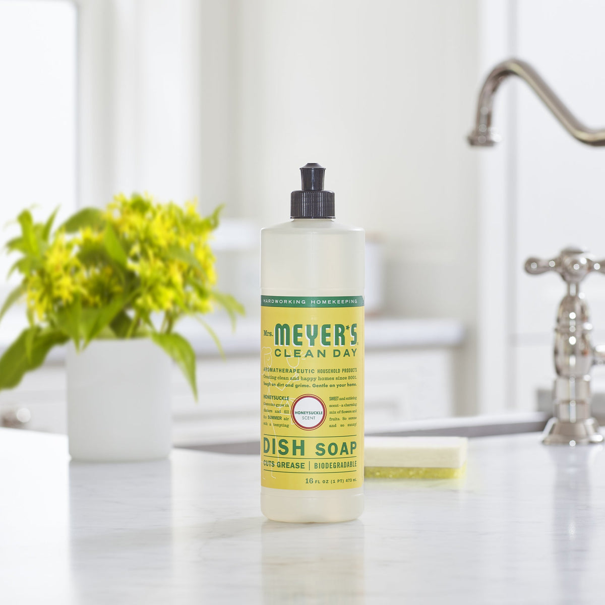Daily Care Dish Soap for daily home and personal routines with cleaning laundry and paper products