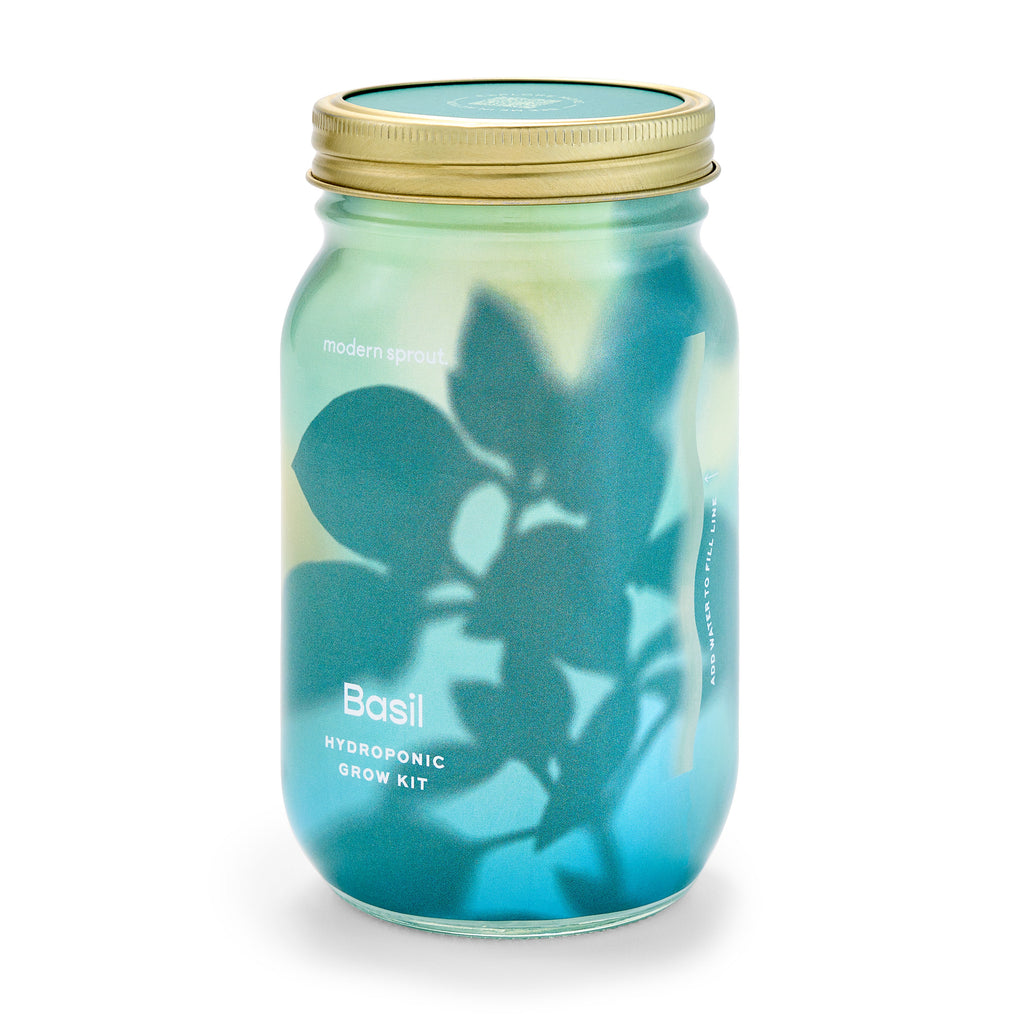 Routine Ready Garden Jar for daily home and personal routines with garden plant and outdoor supplies