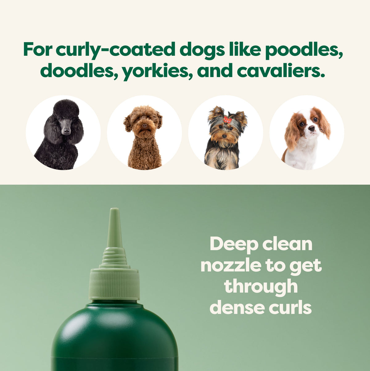 Routine Ready 3-in-1 Curly Coat Dog Shampoo for daily home and personal routines with hair care