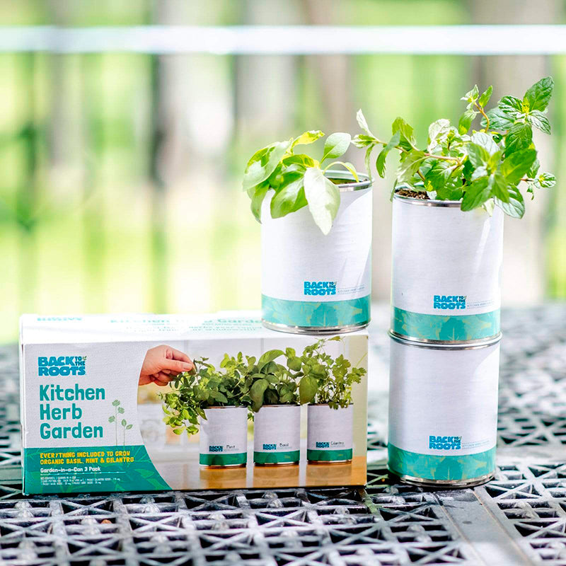 Home Essentials Kitchen Herb Garden for daily home and personal routines with garden plant and outdoor supplies