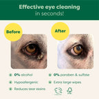 Routine Ready Dog Eye Wipes for daily home and personal routines with pet care treats and accessories