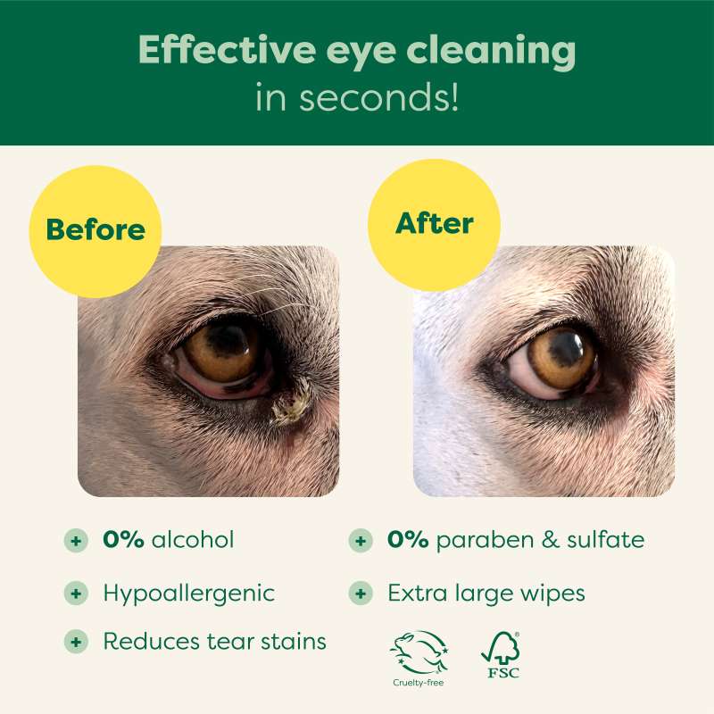 Routine Ready Dog Eye Wipes for daily home and personal routines with pet care treats and accessories