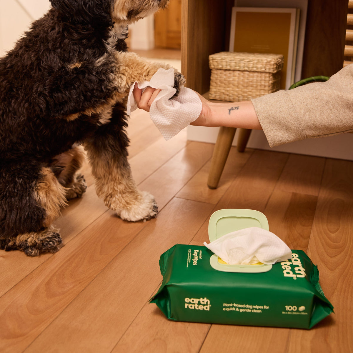 Home Essentials Dog Grooming Wipes Extra Thick, Fragrance included for daily home and personal routines with pet care treats and accessories