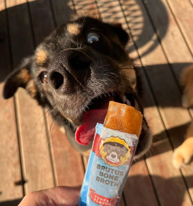 Home Essentials Brutus Brothcicles for daily home and personal routines with pet care treats and accessories