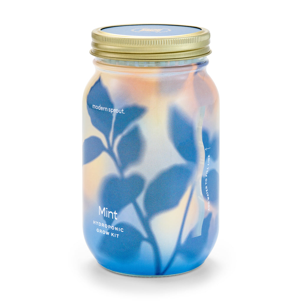 Routine Ready Garden Jar for daily home and personal routines with garden plant and outdoor supplies