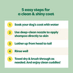 Routine Ready 3-in-1 Short Coat Dog Shampoo for daily home and personal routines with hair care