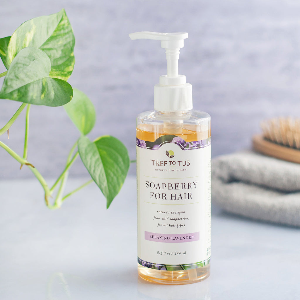 Home Essentials Argan Oil Hydrating Shampoo for Dry Scalp and Hair for daily home and personal routines with hair care