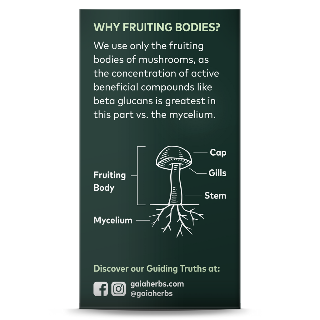 Practical Living Cordyceps Mushroom - For Energy Support for daily home and personal routines with general everyday essentials