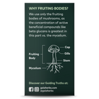 Practical Living Cordyceps Mushroom - For Energy Support for daily home and personal routines with general everyday essentials