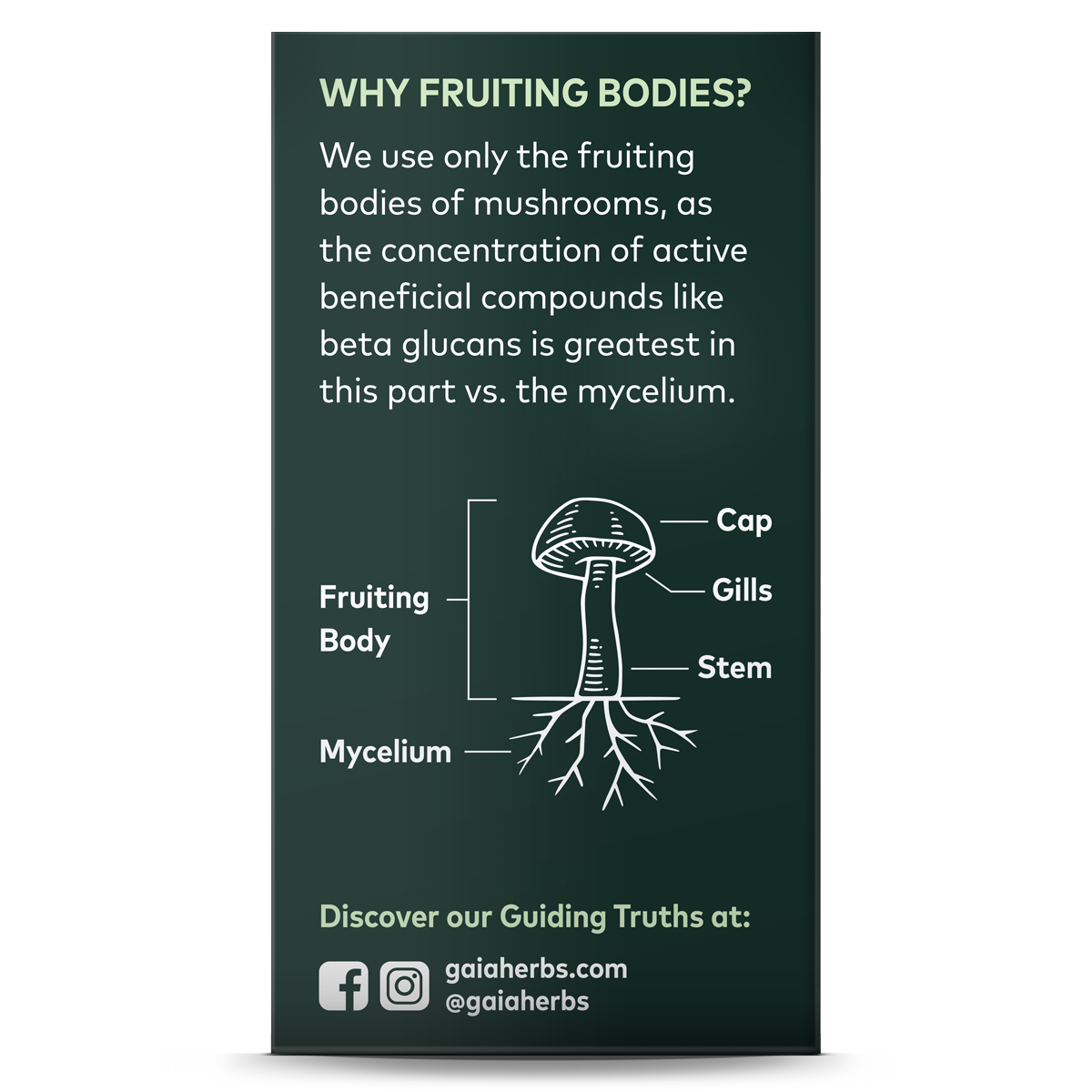 Practical Living Cordyceps Mushroom - For Energy Support for daily home and personal routines with general everyday essentials