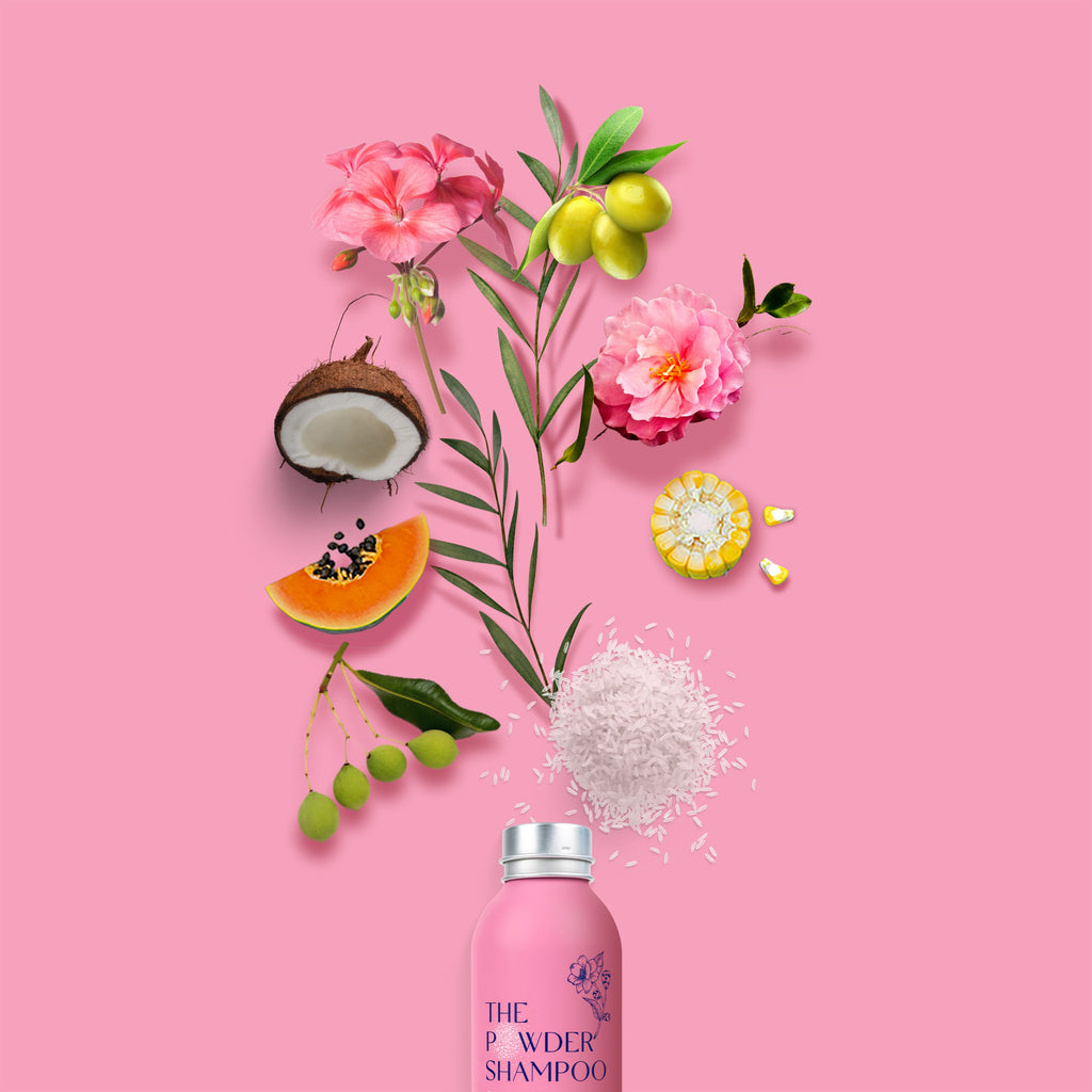 Daily Care Hydrating and Replenishing Powder Shampoo for daily home and personal routines with hair care