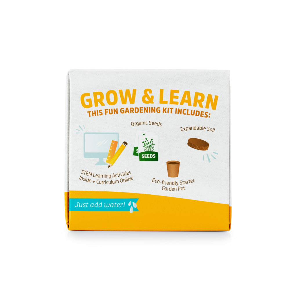 Daily Care Kids Sunflower Grow Kit for daily home and personal routines with baby care and kids products