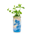 Garden Jar
