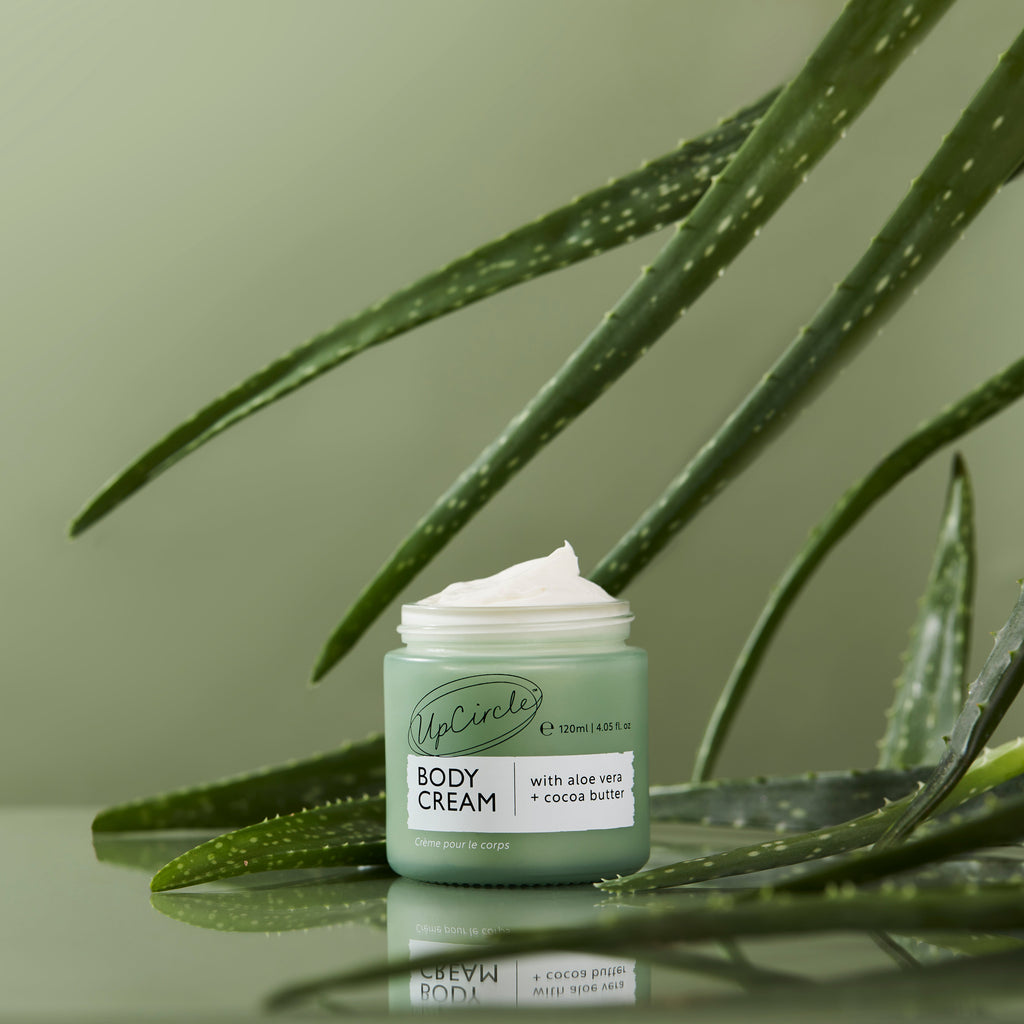 Practical Living Body Cream with Aloe Vera + Cocoa Butter for daily home and personal routines with general everyday essentials