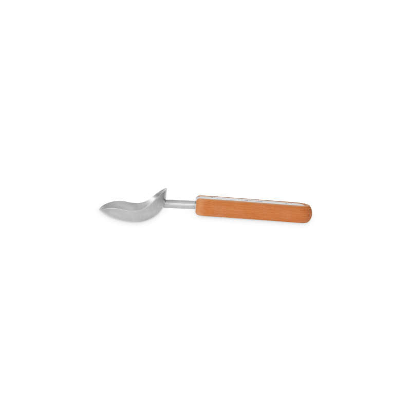 Everyday Home Ice Cream Scoop for daily home and personal routines with cookware food storage and kitchen tools