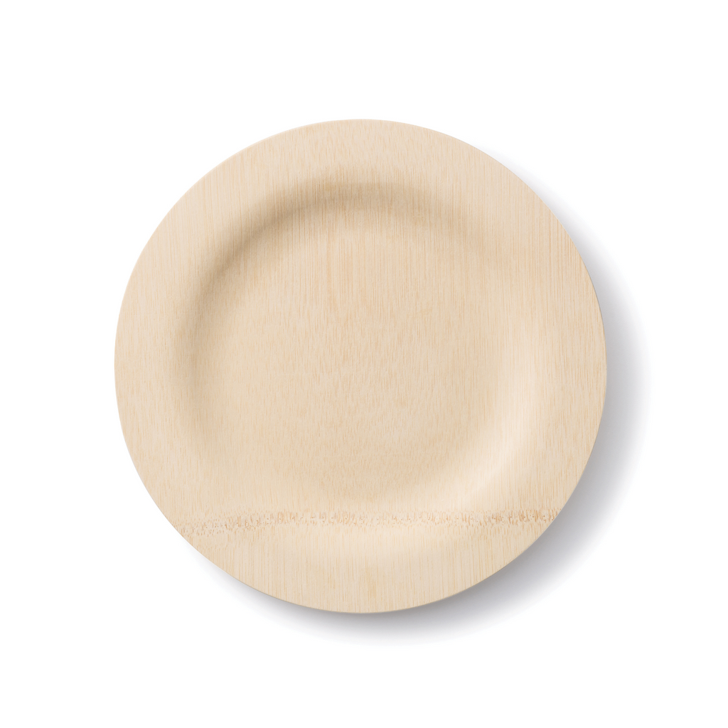 Practical Living Disposable Bamboo Plates for daily home and personal routines with general everyday essentials