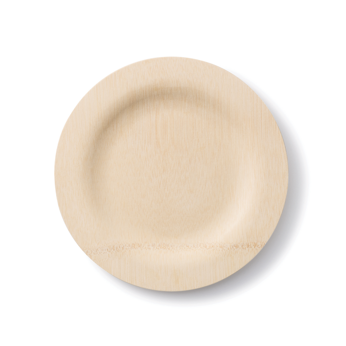 Practical Living Disposable Bamboo Plates for daily home and personal routines with general everyday essentials