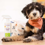 Practical Living All-Surface Pet Stain and Odor Eliminator for daily home and personal routines with facial skin and sun care
