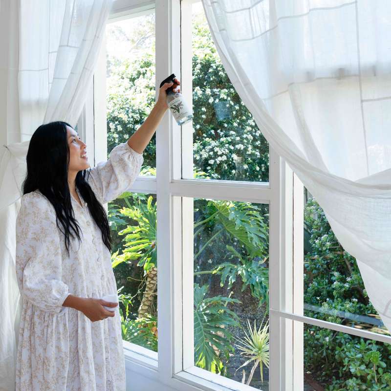 Home Essentials Glass Cleaner for daily home and personal routines with cleaning laundry and paper products